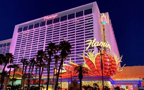 flamingo hotel las vegas youtube|the flamingo las vegas reviews.